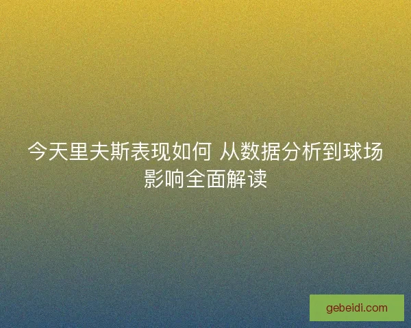 今天里夫斯表现如何 从数据分析到球场影响全面解读